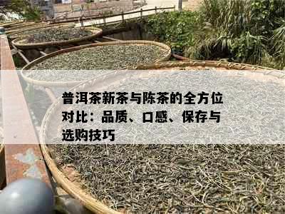 普洱茶新茶与陈茶的全方位对比：品质、口感、保存与选购技巧