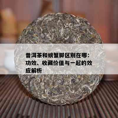 普洱茶和螃蟹脚区别在哪：功效、收藏价值与一起的效应解析