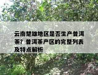 云南楚雄地区是否生产普洱茶？普洱茶产区的完整列表及特点解析