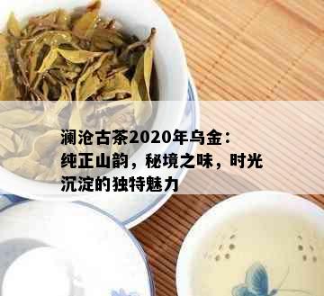 澜沧古茶2020年乌金：纯正山韵，秘境之味，时光沉淀的独特魅力