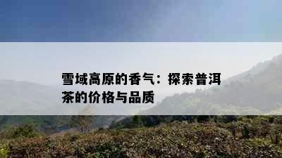 雪域高原的香气：探索普洱茶的价格与品质