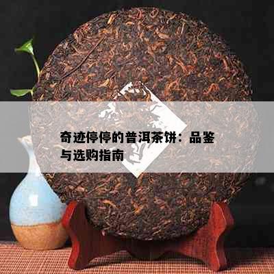 奇迹停停的普洱茶饼：品鉴与选购指南