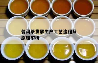 普洱茶发酵生产工艺流程及原理解析