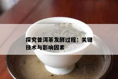 探究普洱茶发酵过程：关键技术与影响因素