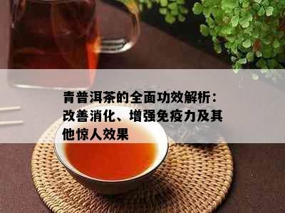 青普洱茶的全面功效解析：改善消化、增强免疫力及其他惊人效果