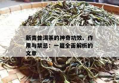 新青普洱茶的神奇功效、作用与禁忌：一篇全面解析的文章