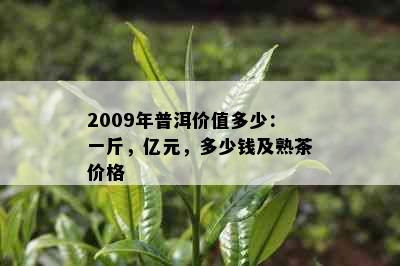 2009年普洱价值多少：一斤，亿元，多少钱及熟茶价格