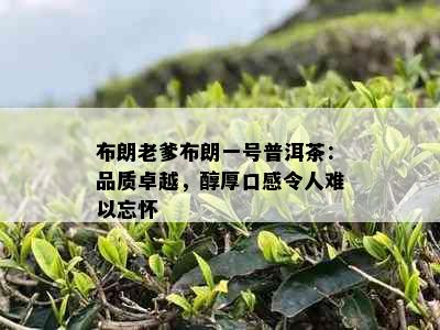 布朗老爹布朗一号普洱茶：品质卓越，醇厚口感令人难以忘怀