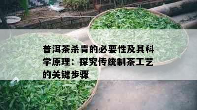 普洱茶杀青的必要性及其科学原理：探究传统制茶工艺的关键步骤