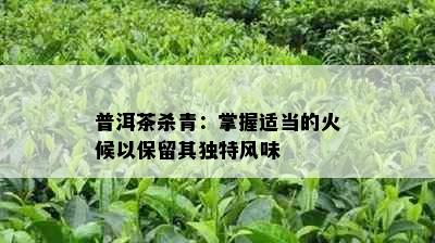 普洱茶杀青：掌握适当的火候以保留其独特风味