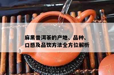 麻黑普洱茶的产地、品种、口感及品饮方法全方位解析