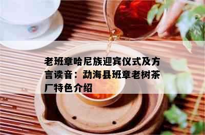 老班章哈尼族迎宾仪式及方言读音：勐海县班章老树茶厂特色介绍