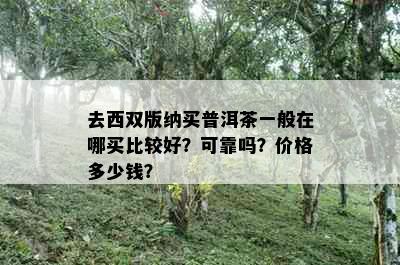 去西双版纳买普洱茶一般在哪买比较好？可靠吗？价格多少钱？