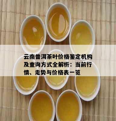 云南普洱茶叶价格鉴定机构及查询方式全解析：当前行情、走势与价格表一览