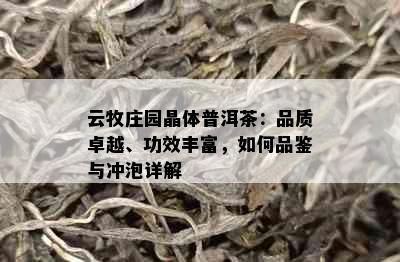 云牧庄园晶体普洱茶：品质卓越、功效丰富，如何品鉴与冲泡详解