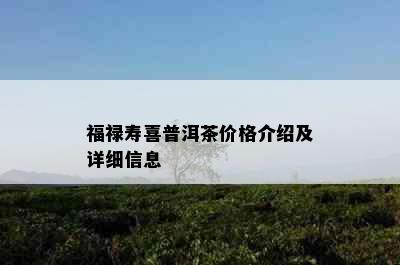 福禄寿喜普洱茶价格介绍及详细信息