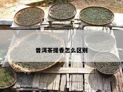 普洱茶提香怎么区别