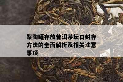 紫陶罐存放普洱茶坛口封存方法的全面解析及相关注意事项