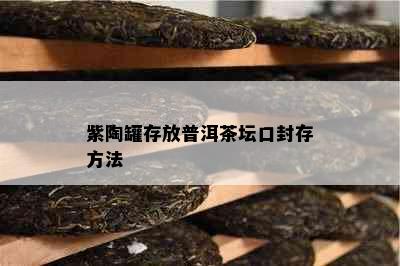 紫陶罐存放普洱茶坛口封存方法