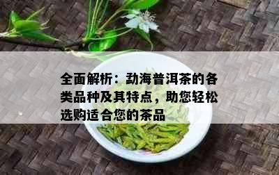 全面解析：勐海普洱茶的各类品种及其特点，助您轻松选购适合您的茶品