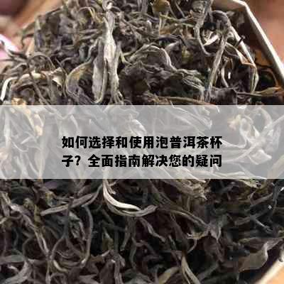 如何选择和使用泡普洱茶杯子？全面指南解决您的疑问