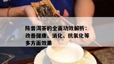 陈普洱茶的全面功效解析：改善健康、消化、抗氧化等多方面效果