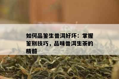 如何品鉴生普洱好坏：掌握鉴别技巧，品味普洱生茶的精髓