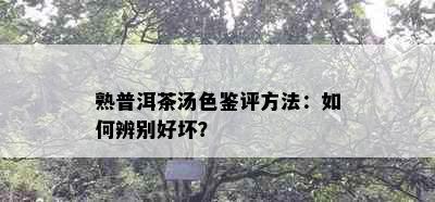 熟普洱茶汤色鉴评方法：如何辨别好坏？