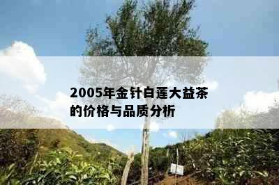 2005年金针白莲大益茶的价格与品质分析