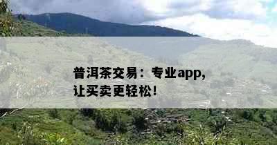 普洱茶交易：专业app,让买卖更轻松！