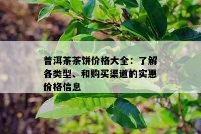 普洱茶茶饼价格大全：了解各类型、和购买渠道的实惠价格信息