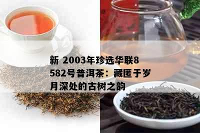 新 2003年珍选华联8582号普洱茶：藏匿于岁月深处的古树之韵