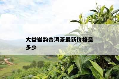 大益岩韵普洱茶最新价格是多少