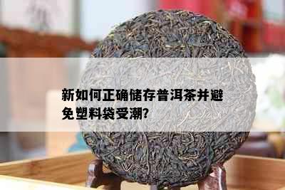 新如何正确储存普洱茶并避免塑料袋受潮？