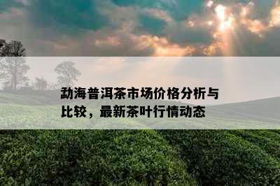 勐海普洱茶市场价格分析与比较，最新茶叶行情动态