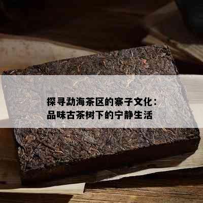 探寻勐海茶区的寨子文化：品味古茶树下的宁静生活