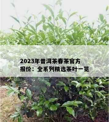 2023年普洱茶春茶官方报价：全系列精选茶叶一览