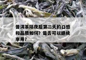 普洱茶隔夜后第二天的口感和品质如何？是否可以继续享用？