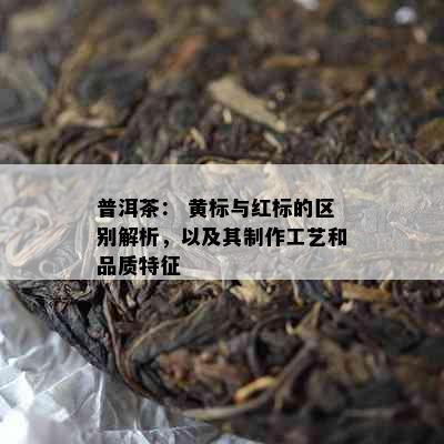 普洱茶： 黄标与红标的区别解析，以及其制作工艺和品质特征