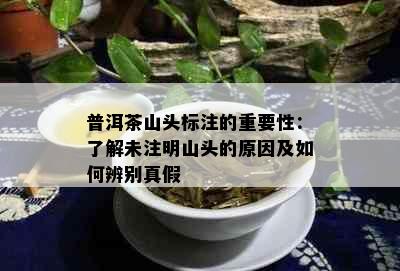 普洱茶山头标注的重要性：了解未注明山头的原因及如何辨别真假