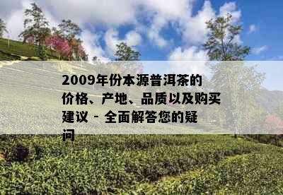 2009年份本源普洱茶的价格、产地、品质以及购买建议 - 全面解答您的疑问