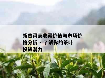 新普洱茶收藏价值与市场价格分析 - 了解你的茶叶投资潜力