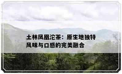 土林凤凰沱茶：原生地独特风味与口感的完美融合