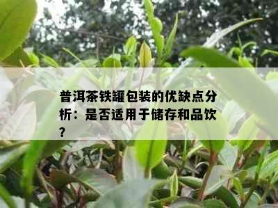 普洱茶铁罐包装的优缺点分析：是否适用于储存和品饮？