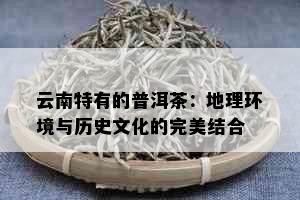 云南特有的普洱茶：地理环境与历史文化的完美结合