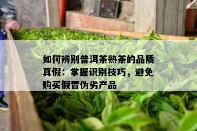 如何辨别普洱茶熟茶的品质真假：掌握识别技巧，避免购买假冒伪劣产品