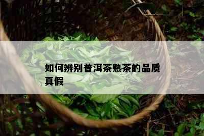 如何辨别普洱茶熟茶的品质真假