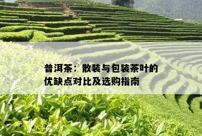 普洱茶：散装与包装茶叶的优缺点对比及选购指南