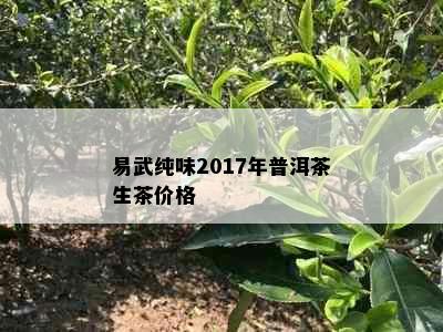 易武纯味2017年普洱茶生茶价格