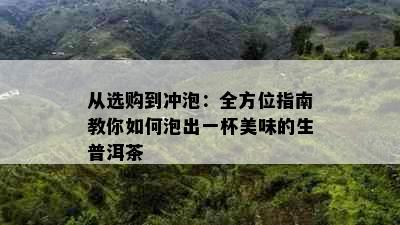 从选购到冲泡：全方位指南教你如何泡出一杯美味的生普洱茶